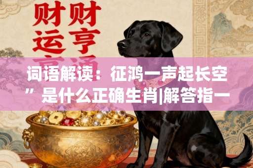 词语解读：征鸿一声起长空”是什么正确生肖|解答指一准确最佳生肖，词语谜底剖解赏析-第1张图片-范文生肖