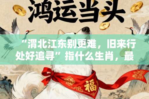 “渭北江东别更难，旧来行处好追寻”指什么生肖，最佳释义词语作答解答-第1张图片-范文生肖